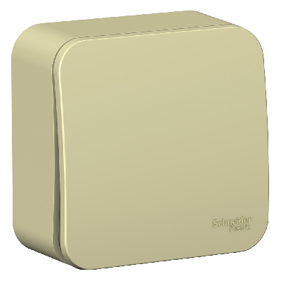 BLANCA О/У 1-клавишный ПЕРЕКЛЮЧАТЕЛЬ (cх.6) ИЗОЛ.ПЛ., 10А, 250B, БЕЖЕВЫЙ