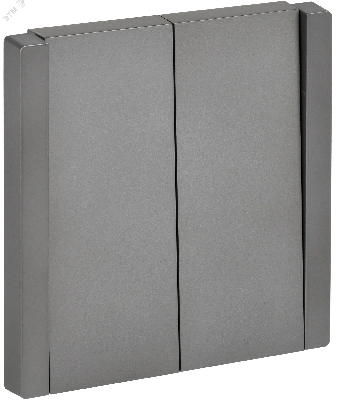 FORTE&PIANO Выключатель 2-клавишный 10А FP505 сталь IEK