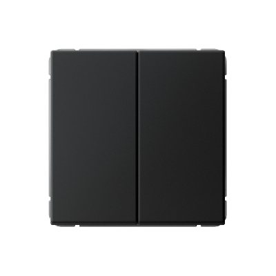 ARTGALLERY 2-клавишный ПЕРЕКЛЮЧАТЕЛЬ, 10АХ, механизм, быстрозажимные клеммы, КАРБОН