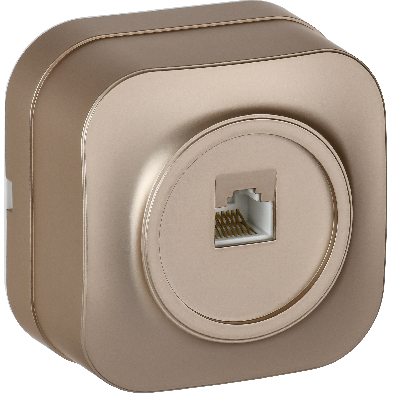 GLORY Розетка для открытой установки компьютерная RJ45 кат.5E РК10-ХШм шампань матовый IEK