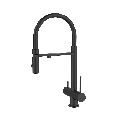 Смеситель для кухни с фильтром и гибким изливом черный матовый Ace