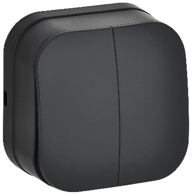 GLORY Выключатель 2-клавишный для открытой установки 10А ВС20-2-0-ХЧм черный матовый IEK