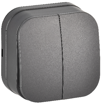 GLORY Выключатель 2-клавишный для открытой установки 10А ВС20-2-0-ХСм сталь матовый IEK