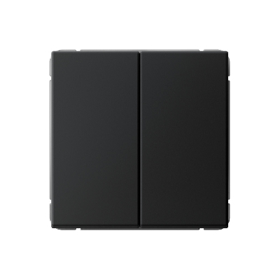 ARTGALLERY 2-клавишный ВЫКЛЮЧАТЕЛЬ, 10АХ, механизм, быстрозажимные клеммы, КАРБОН